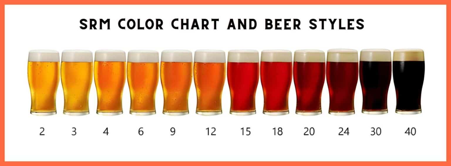 The Great Beer Color Guide What Is SRM in Beer?