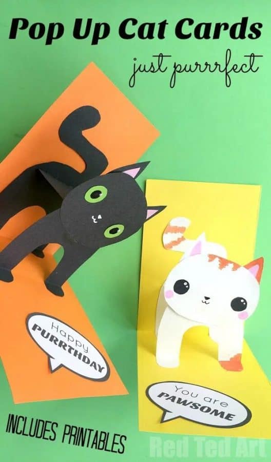 3D Cat Birthday Card