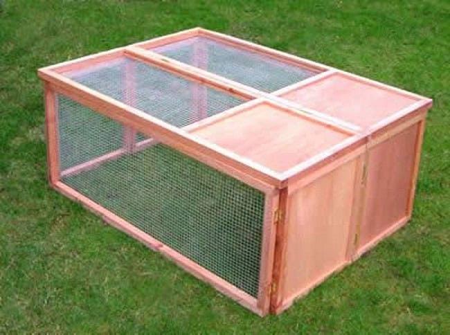 Beginner-Friendly Guinea Pig Cage Plan