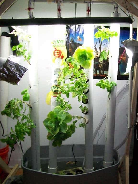  Build Your Own Vertical Aquaponic Garden