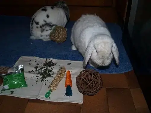 Bunny DIY: How to Make Your Own Homemade Rabbit Toys