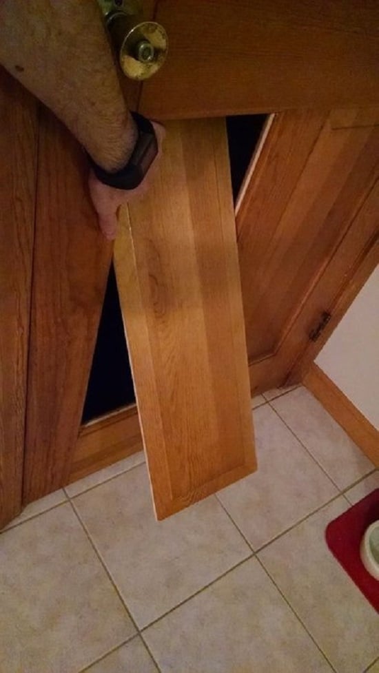 Concealed Feline Entrance in Panel Door