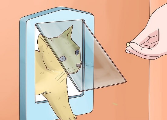 Create Your Own Cat Flap Door