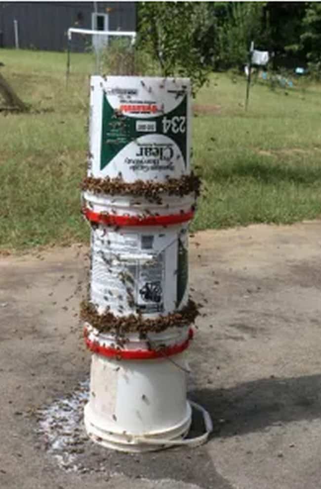 DIY Bee Yard Feeder