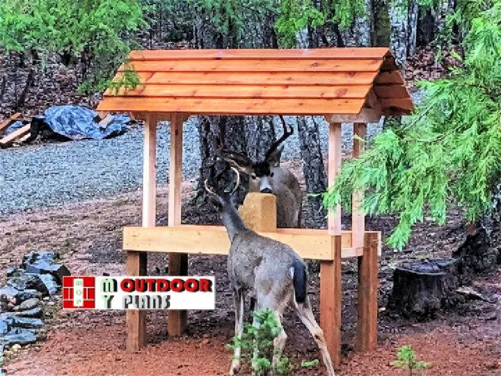 DIY Deer Feeder Woodworking Project