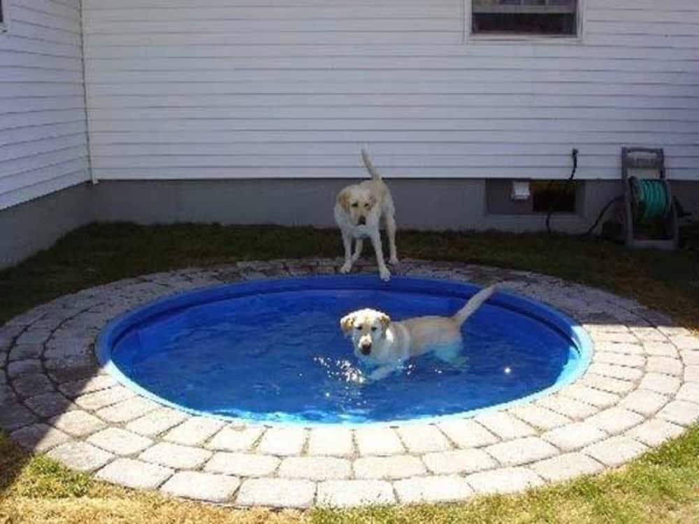 DIY Dog Bath Tub Using a Kiddie Pool