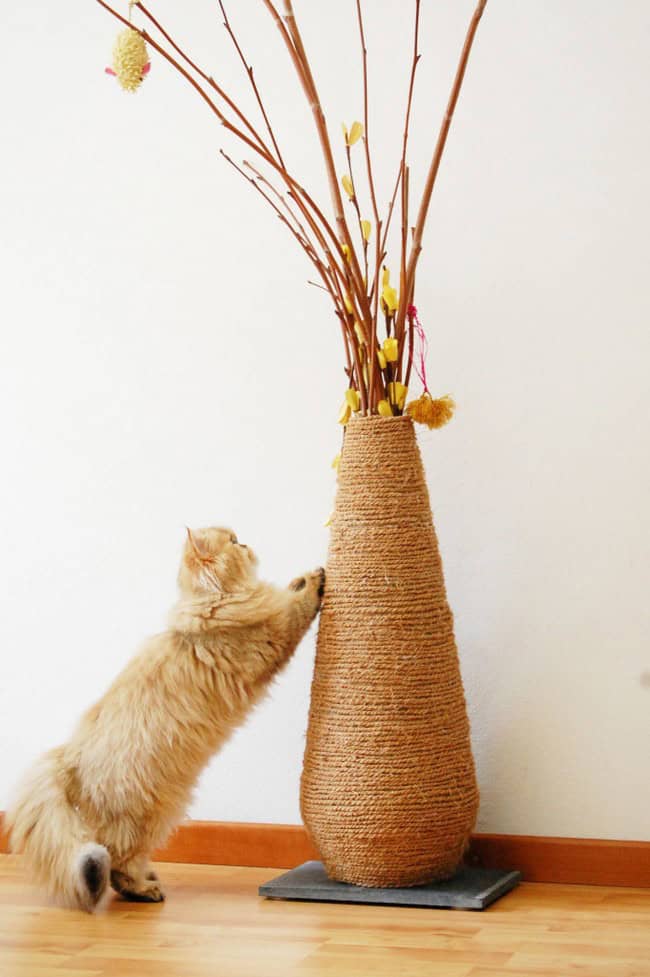 DIY Vase Scratching Post