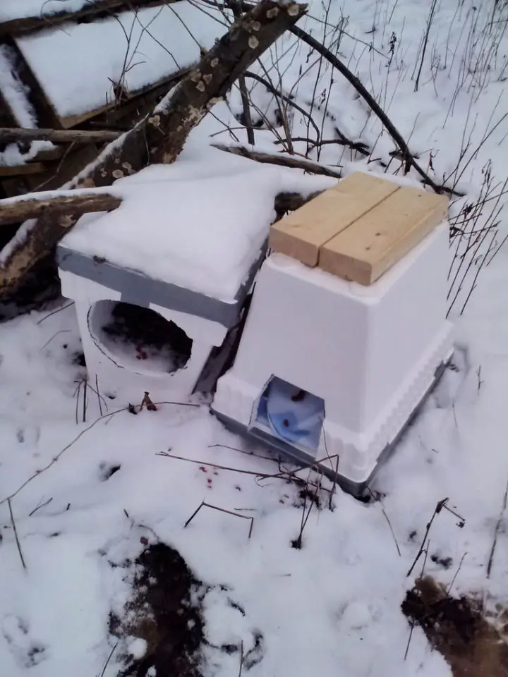 DIY Winter Cat Shelter