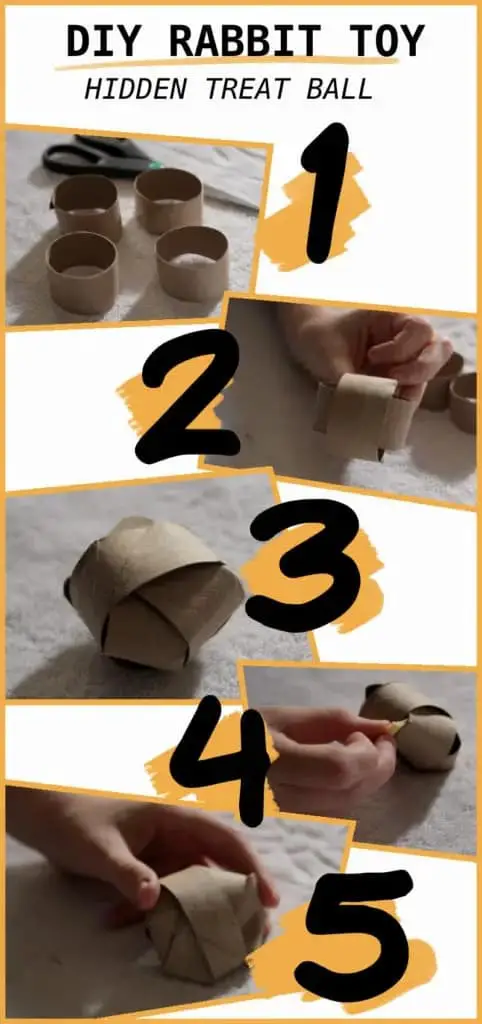 Five DIY Toilet Roll Toys for Your Bunny - Ideas from Amy the Bunny Lady