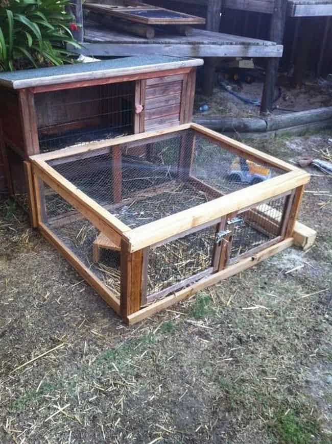 Guinea Pig Cage with Extension