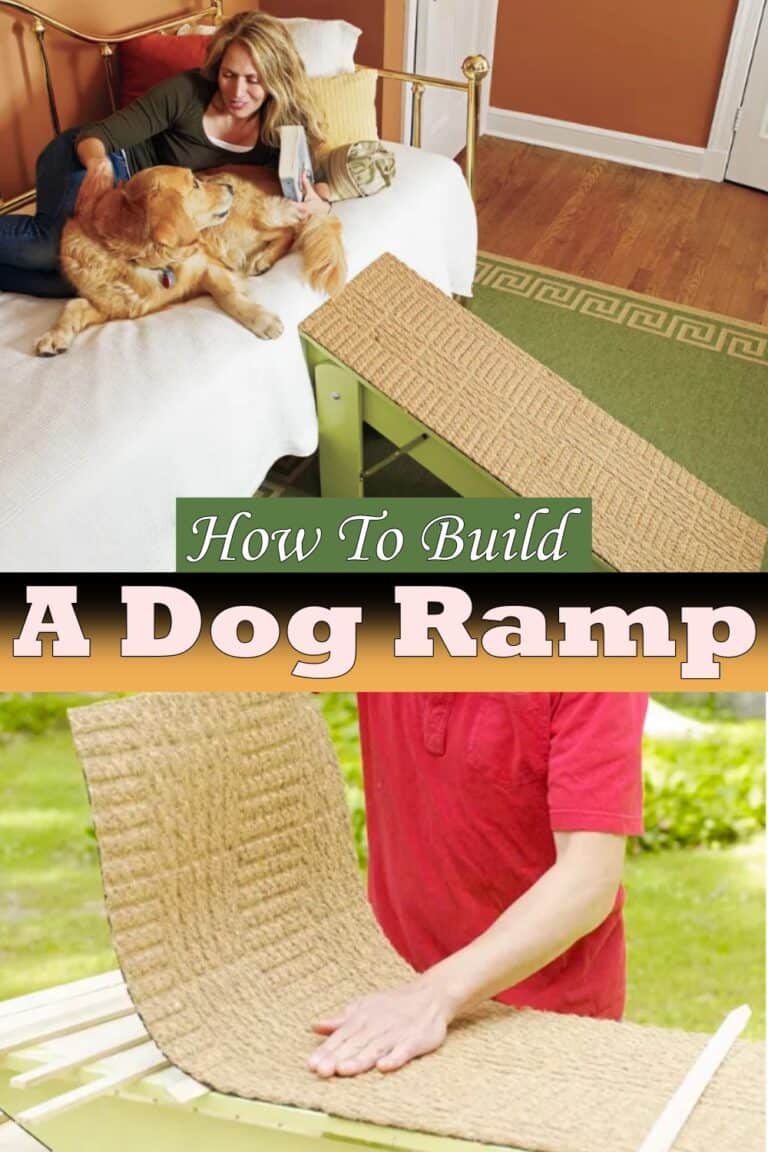 How to Build a Dog Ramp