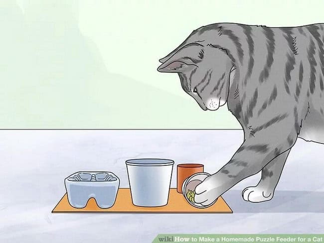 How to Create a DIY Puzzle Feeder for Your Feline