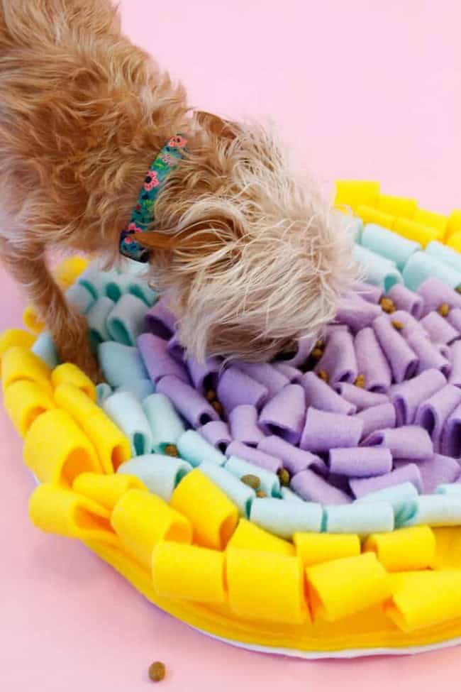 How to Create a Snuffle Mat for Your Dog or CatHow to Create a Snuffle Mat for Your Dog or Cat