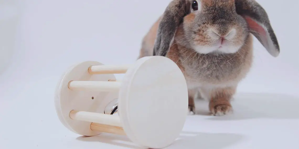 How to Make a Toy for Your Pet Rabbit – Dremel