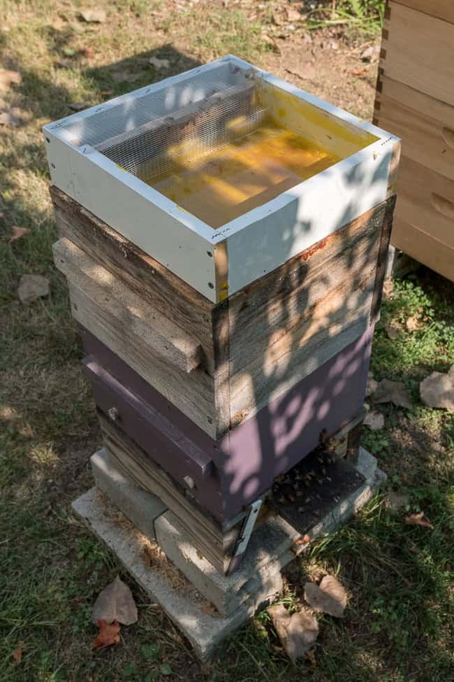 No Drowning, Hive-Top Feeder