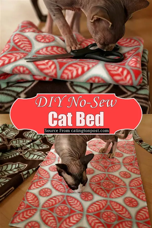 No-Sew Cat Bed