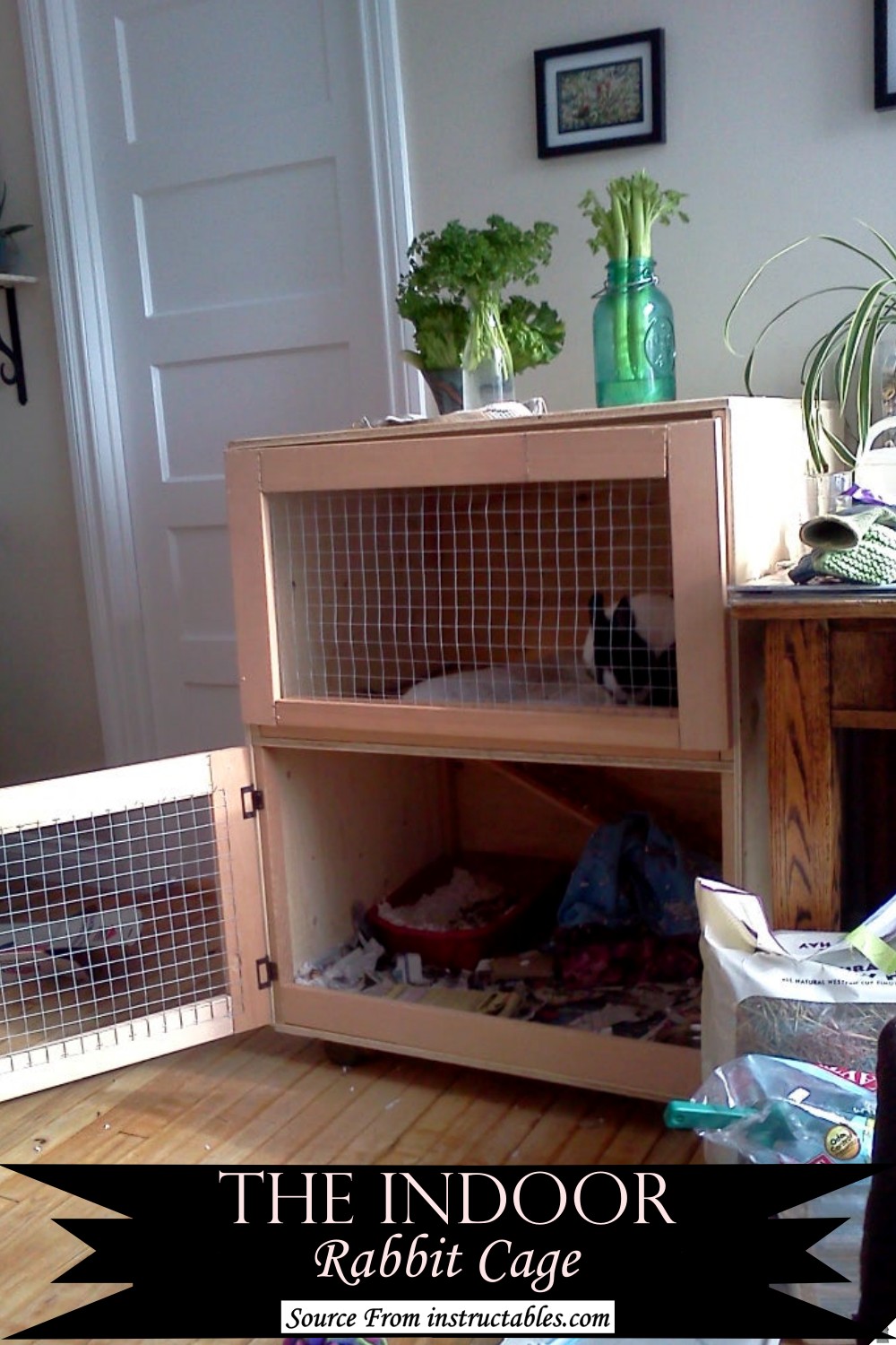 The Indoor Rabbit Cage