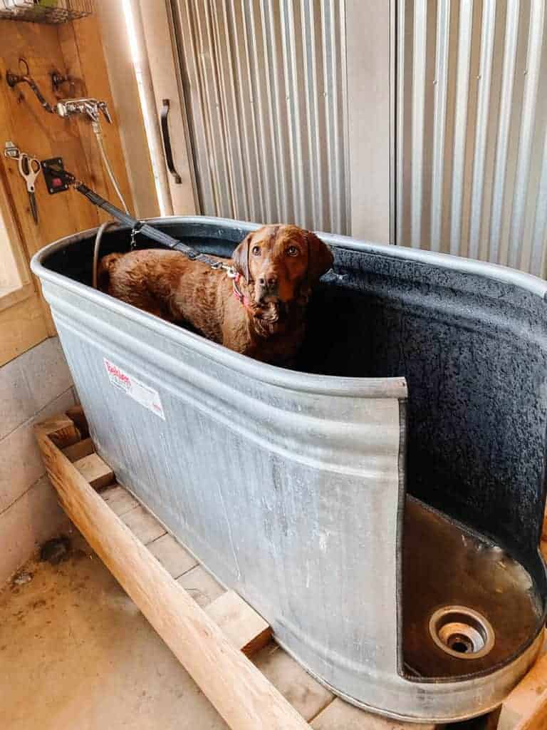Thermaland Oaks DIY Dog Bath Tub