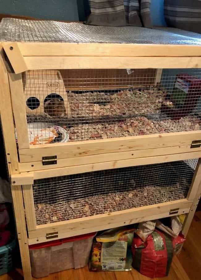 Two-Level Guinea Pig Cage